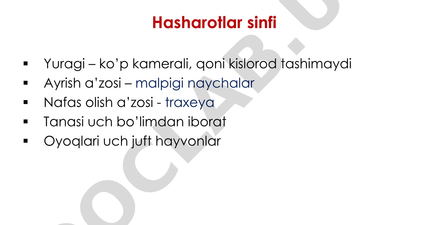 Yashil bronza qo'ng'izi misolida hasharotlar sinfi xususiyatlari