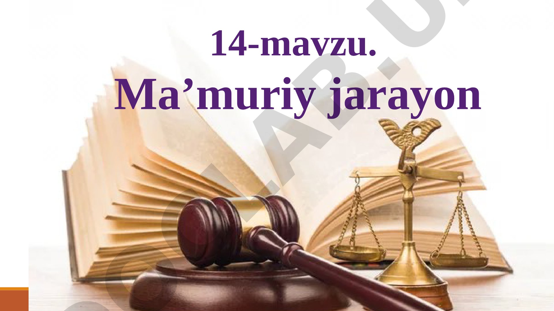 Ma’muriy jarayon tushunchasi, xususiyatlari, bosqichlari va normalari