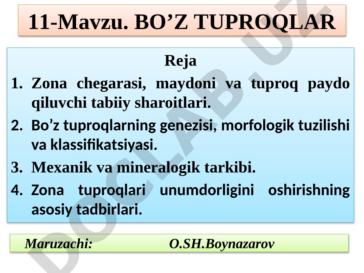 Bo’z tuproqlar