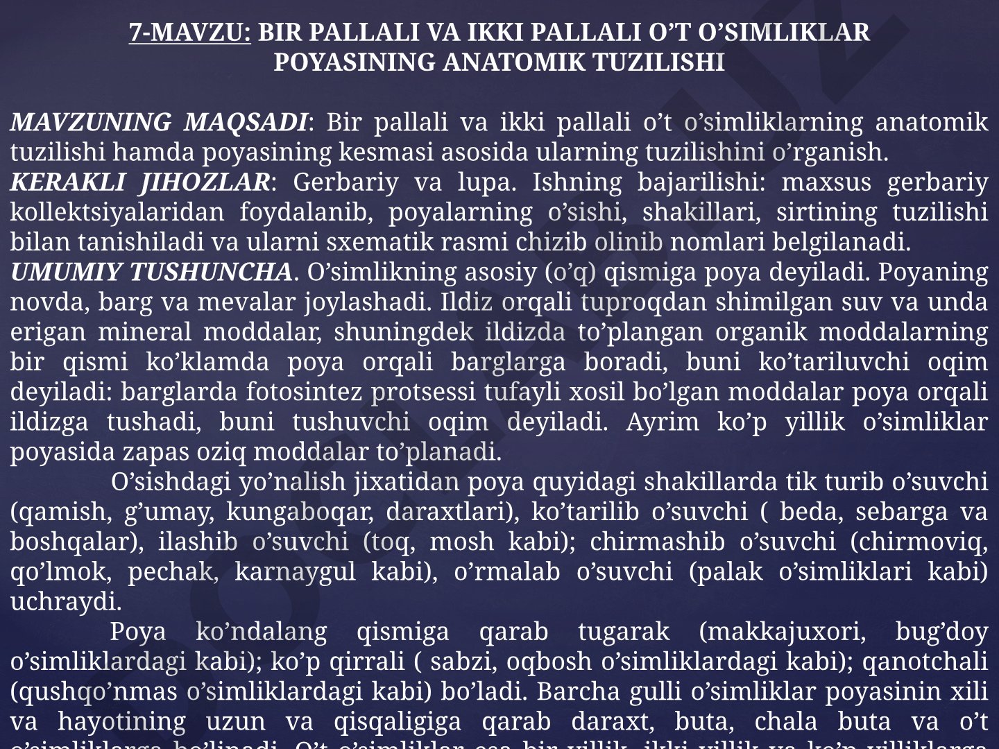 BIR PALLALI VA IKKI PALLALI O’T O’SIMLIKLAR POYASINING ANATOMIK TUZILISHI