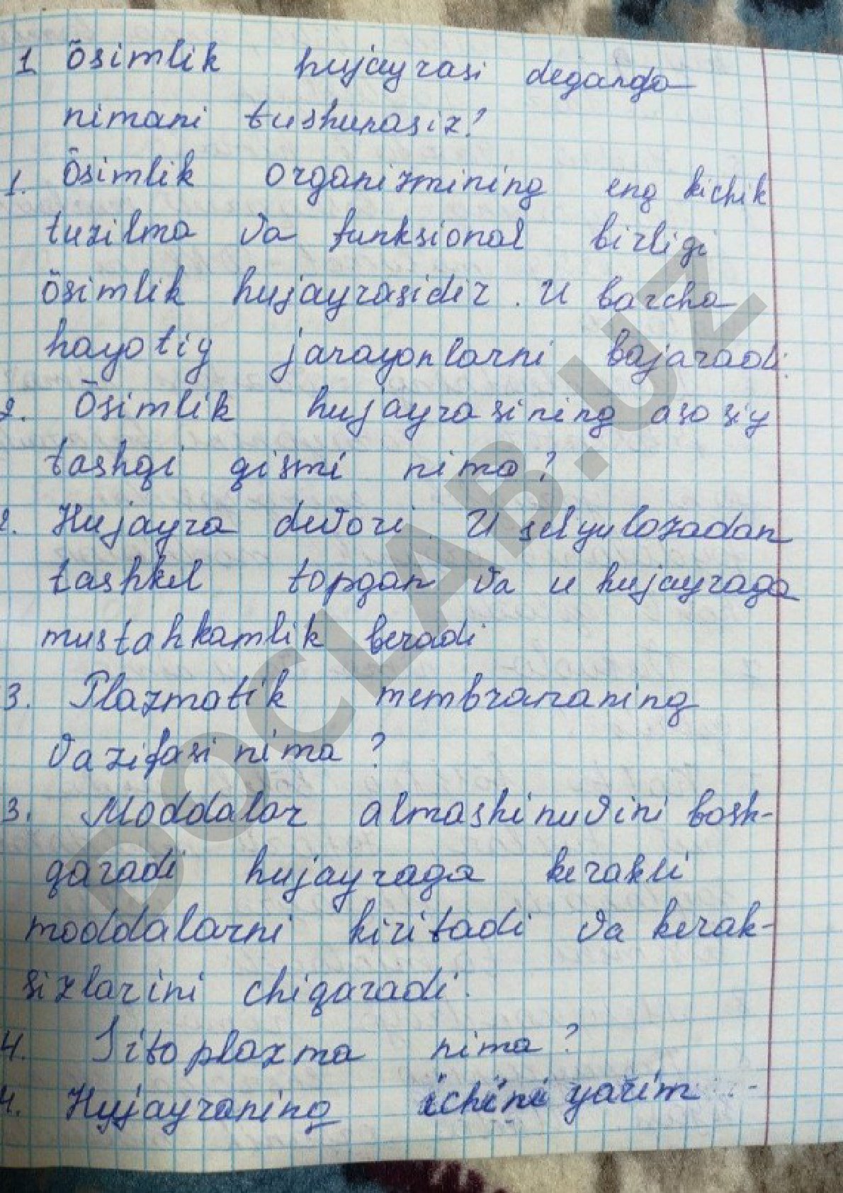 Sixteen pages without text