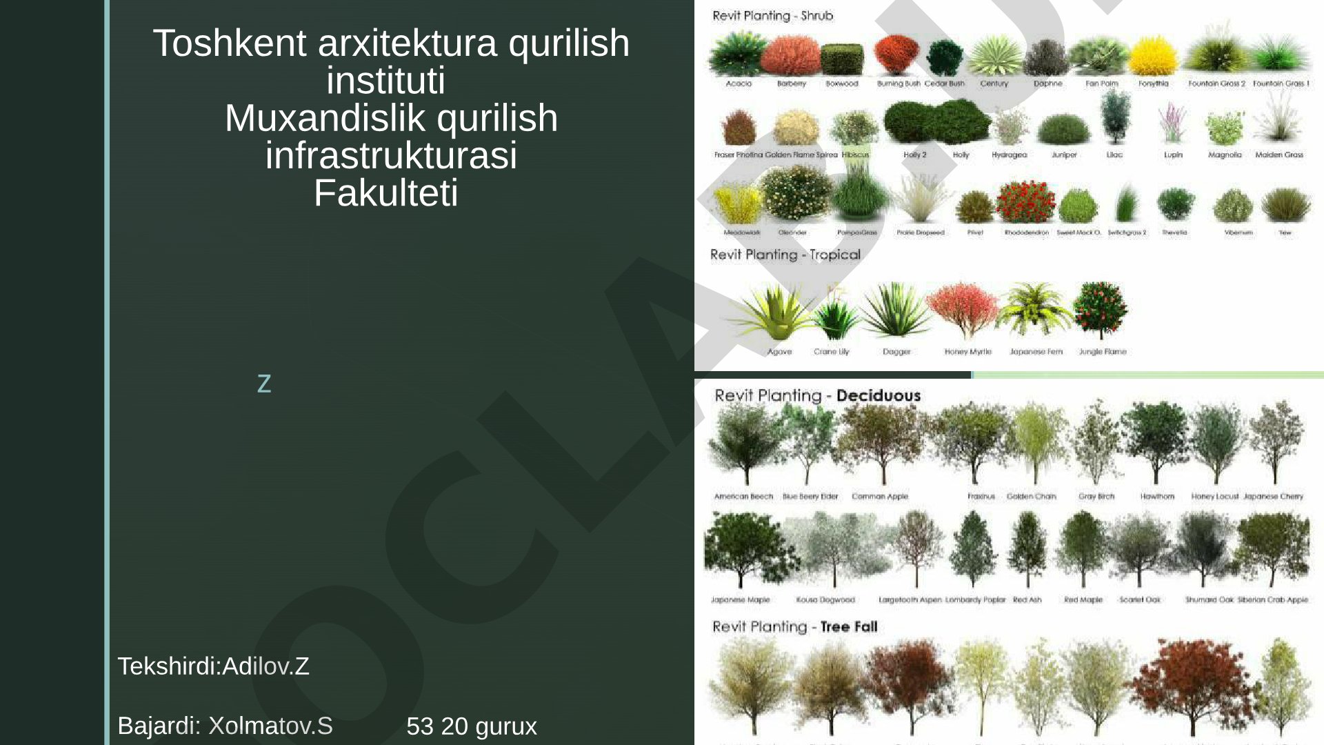 Daraxtlarni shaxar arxitekturasidagi oʻrni