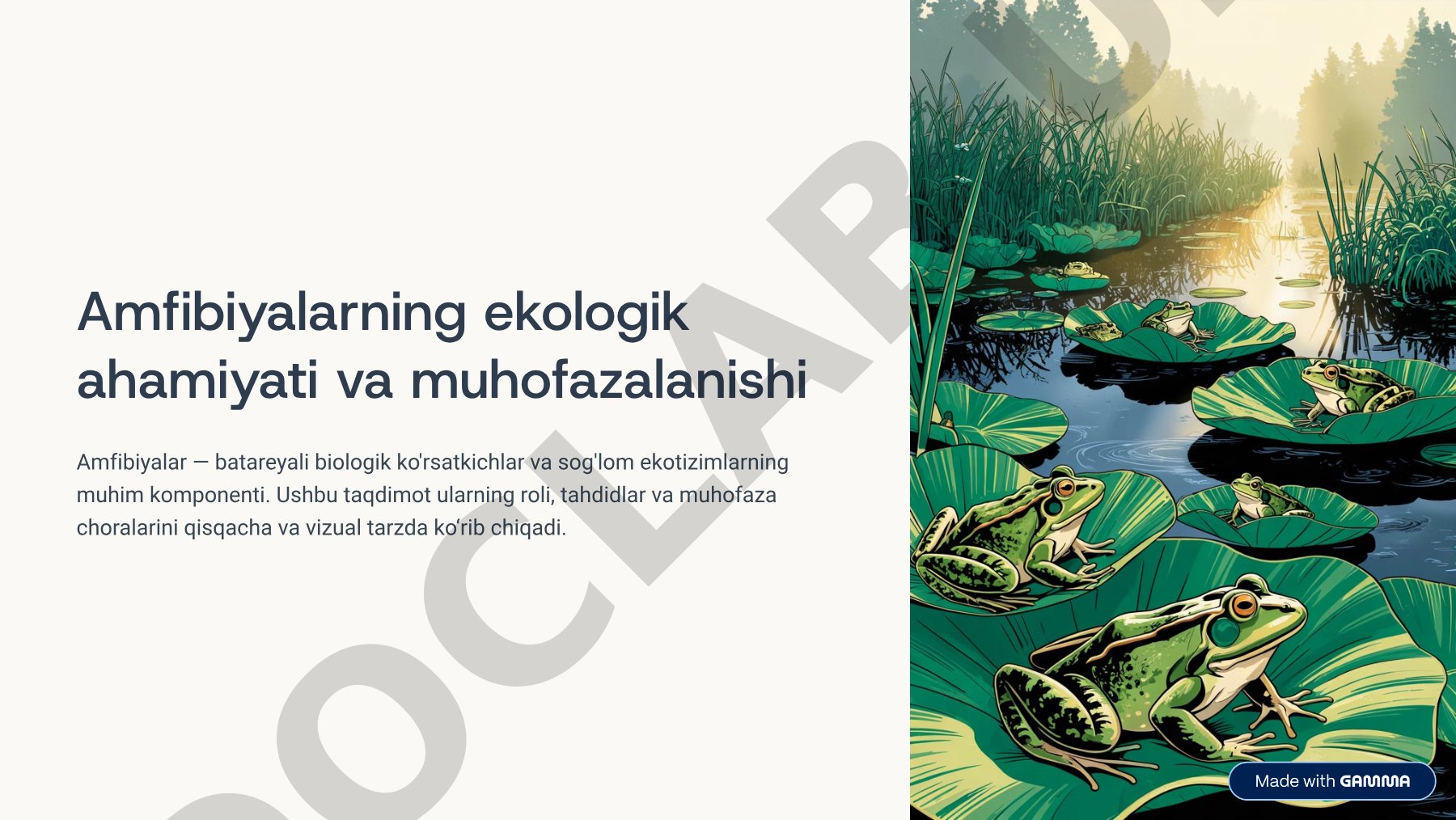 Amfibiyalarning ekologik ahamiyati va muhofazalanishi