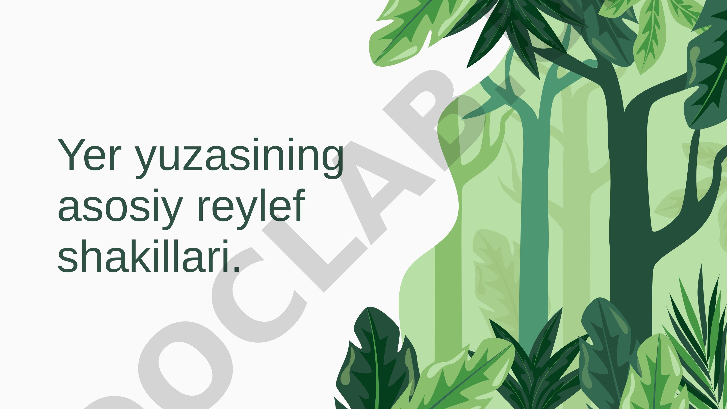 Yer yuzasining asosiy reylef shakillari