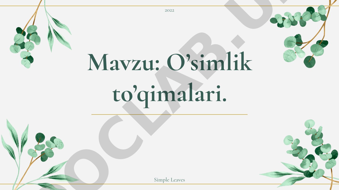 O’simlik to’qimalari