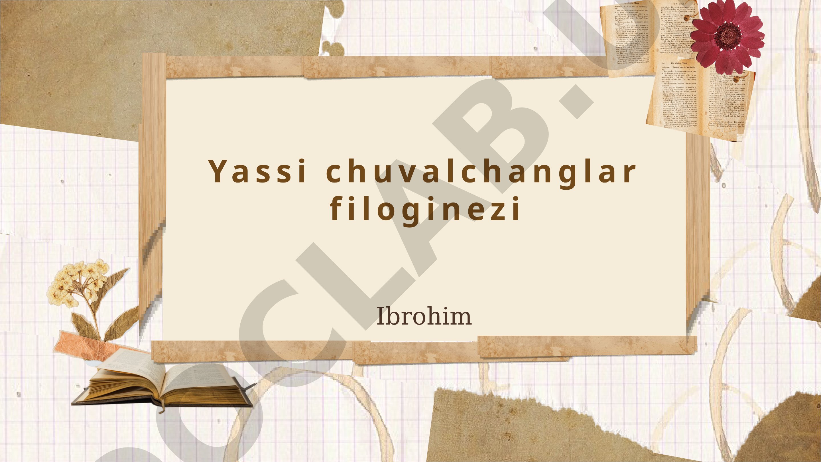 Yassi chuvalchanglar filogenezi