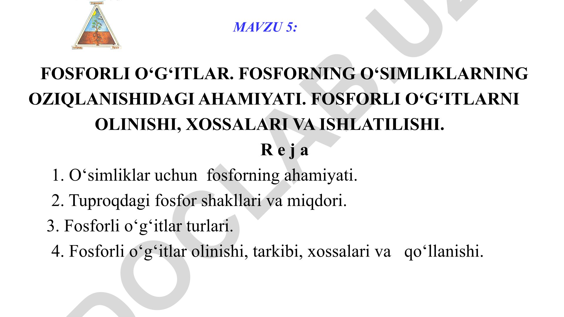 Fosforli o‘g‘itlar va fosforning o‘simliklar oziqlanishidagi ahamiyati