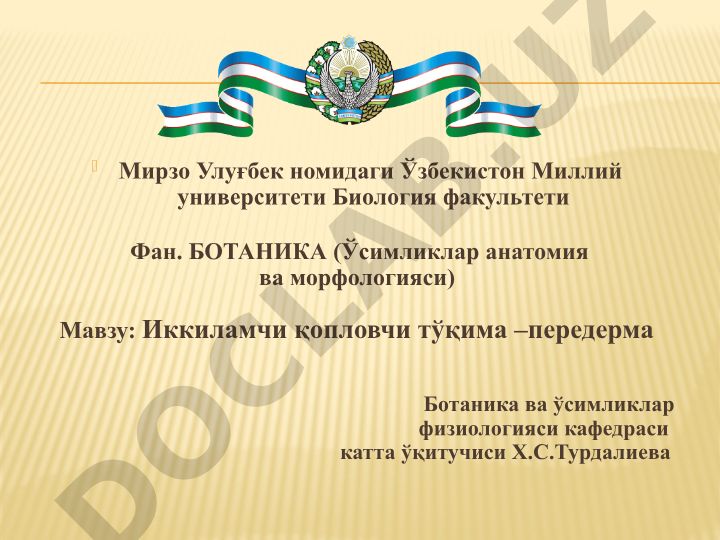 Иккиламчи қопловчи тўқима – передерма