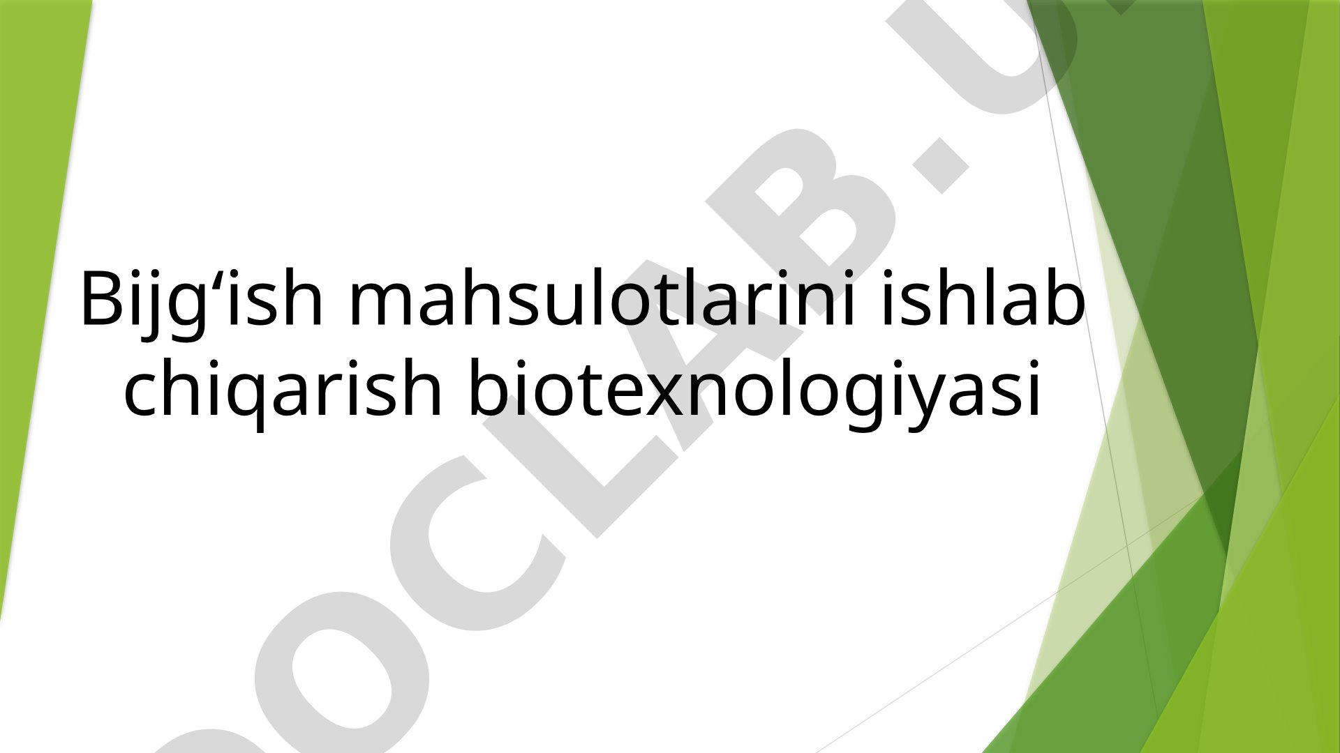 Bijg‘ish mahsulotlarini ishlab chiqarish biotexnologiyasi