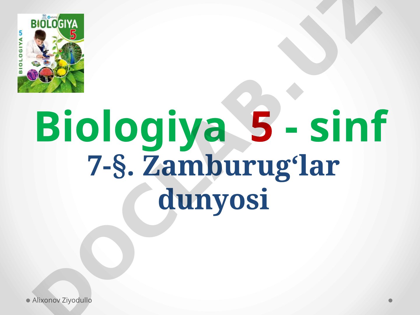 Zamburug'lar dunyosi