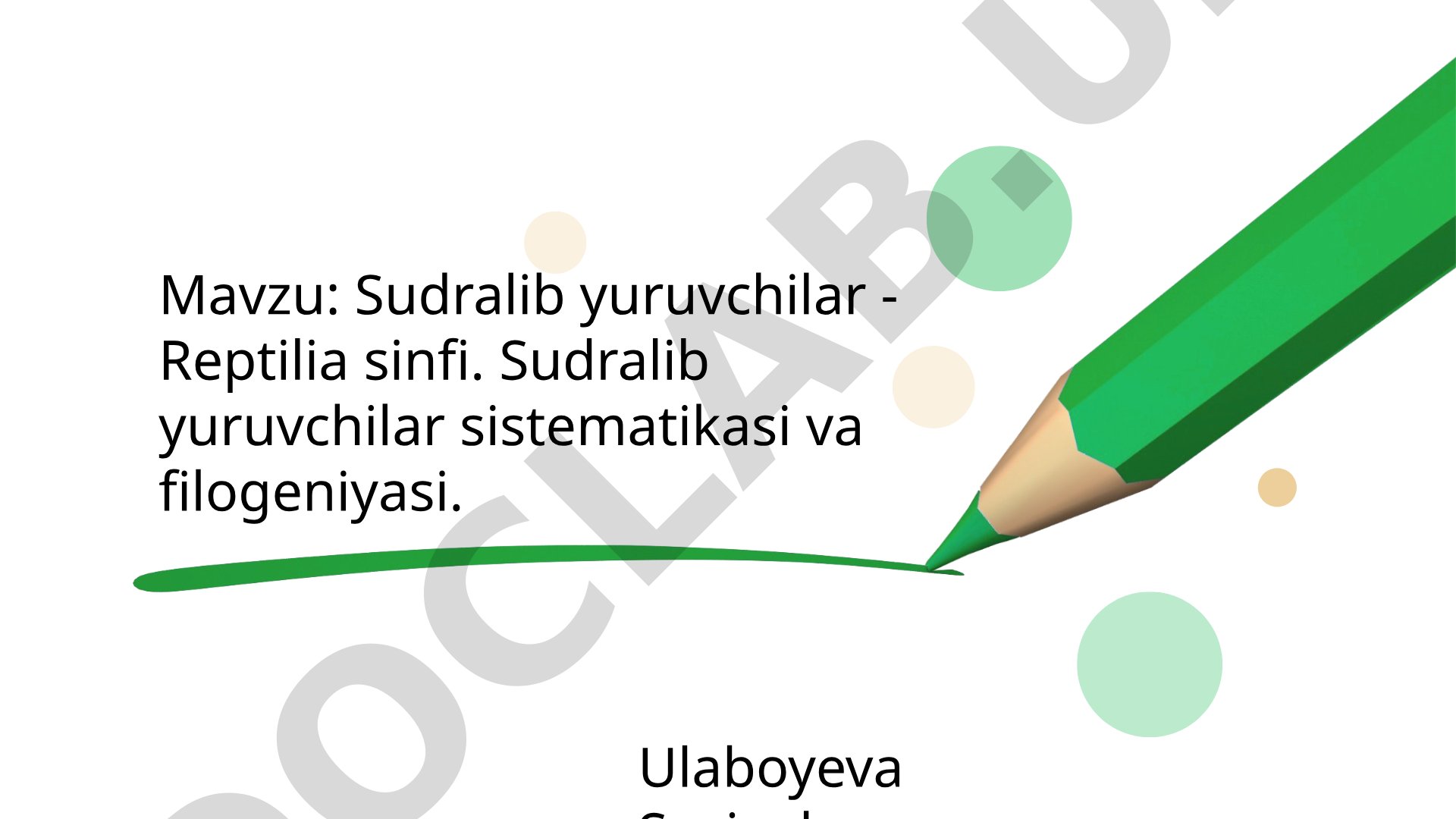 Sudralib yuruvchilar - Reptilia sinfi. Sudralib yuruvchilar sistematikasi va filogeniyasi