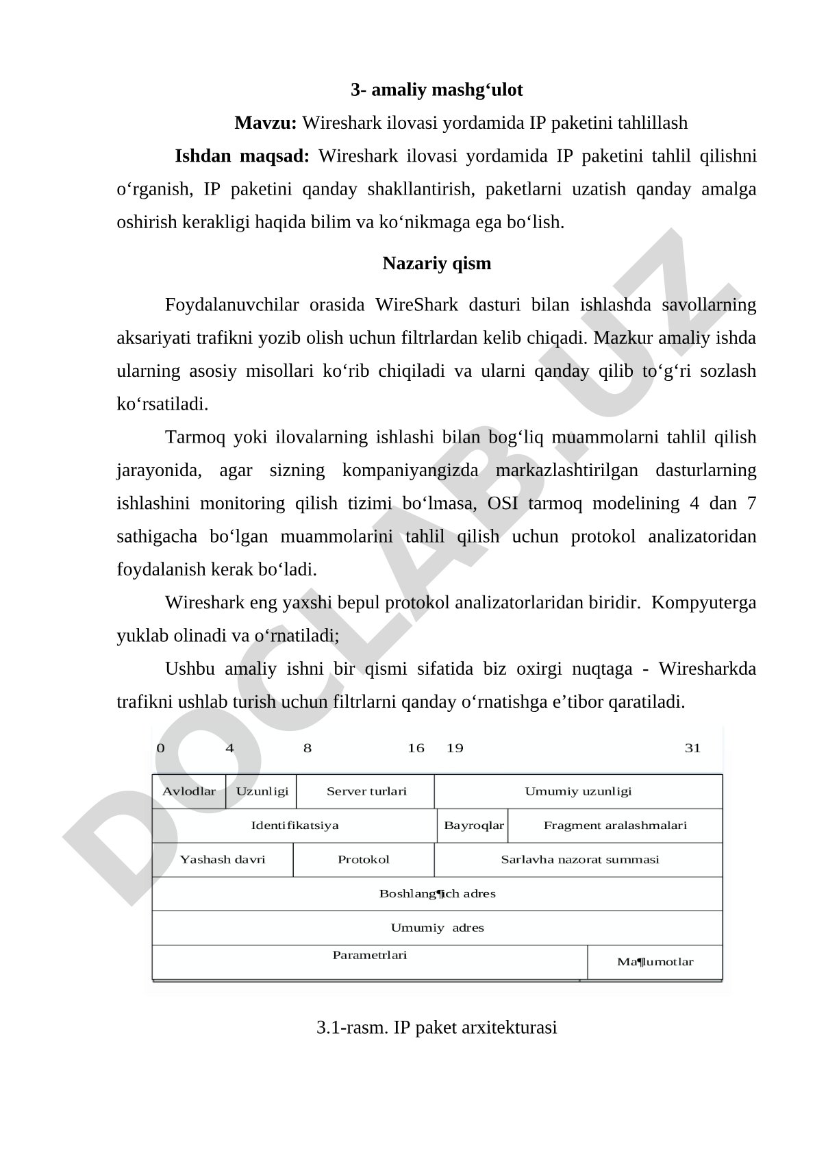 Wireshark ilovasi yordamida IP paketini tahlillash