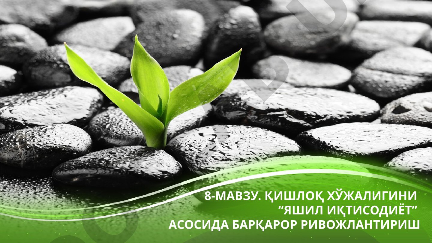 Қишлоқ хўжалигини “яшил иқтисодиёт” асосида барқарор ривожлантириш