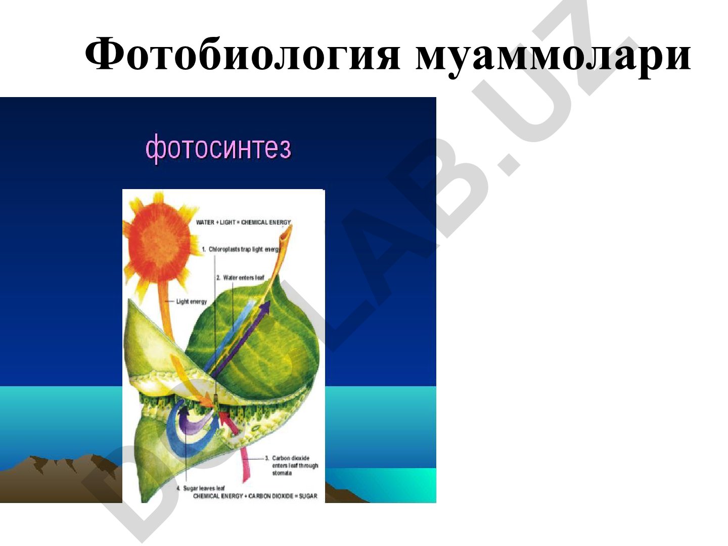 Фотобиология муаммолари ва фотобиологик жараёнлар классификацияси