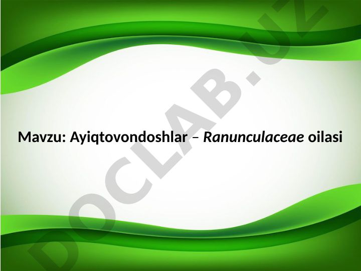 Ayiqtovondoshlar – Ranunculaceae oilasi