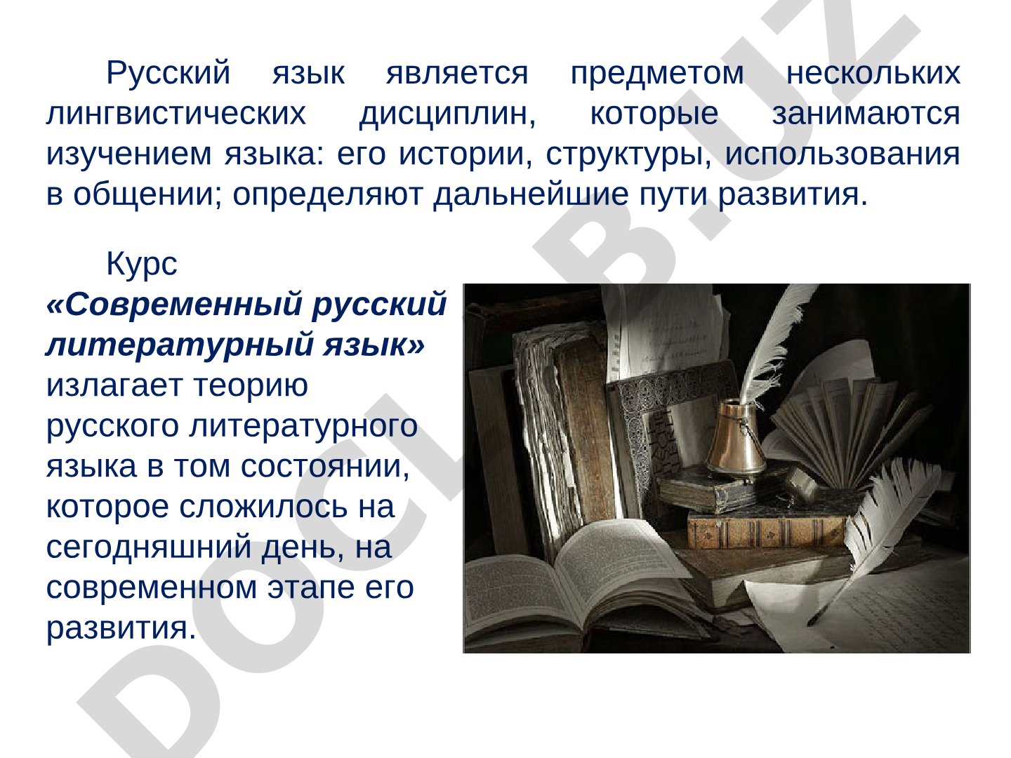 Современный русский литературный язык