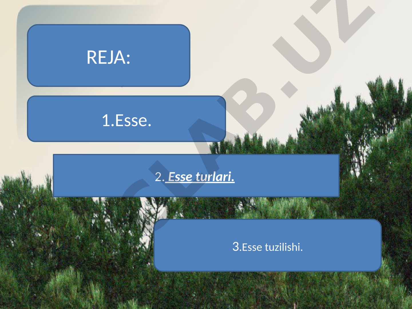 Esse turlari, tuzilishi, yozish texnologiyasi va ish bosqichlari haqida