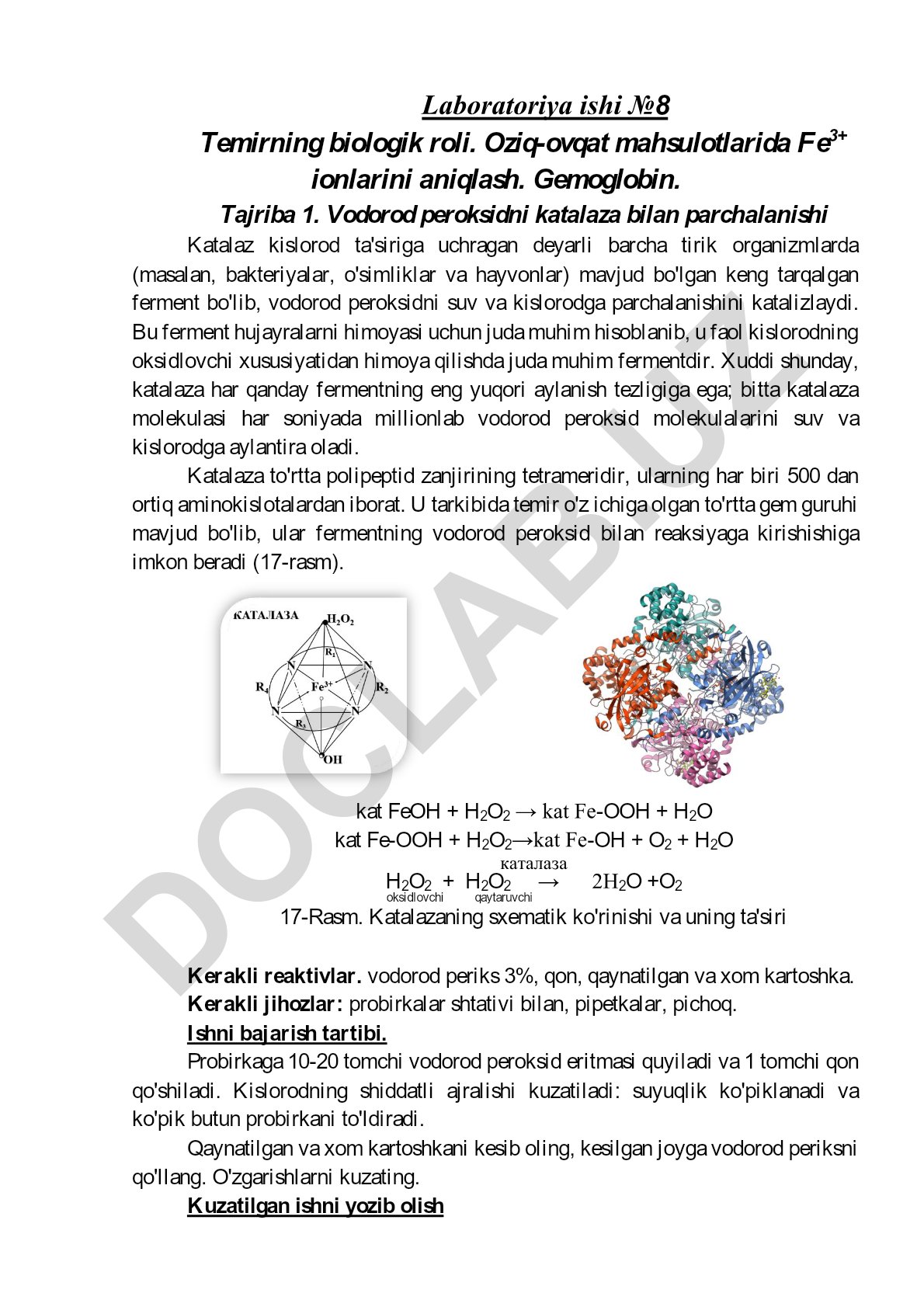 Temirning biologik roli va Fe3+ ionlarini aniqlash