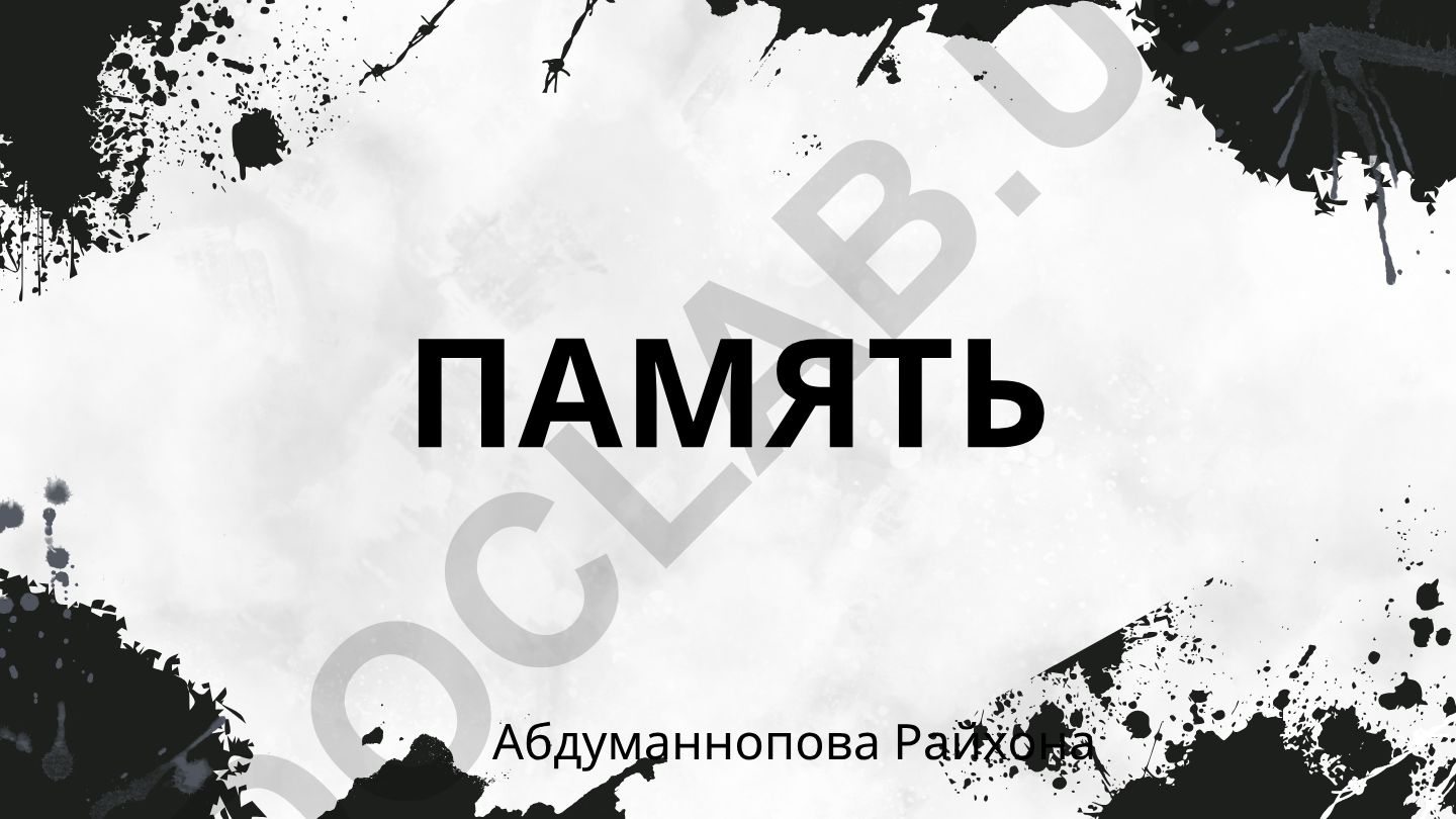 Память: процессы, виды и значение в жизни человека