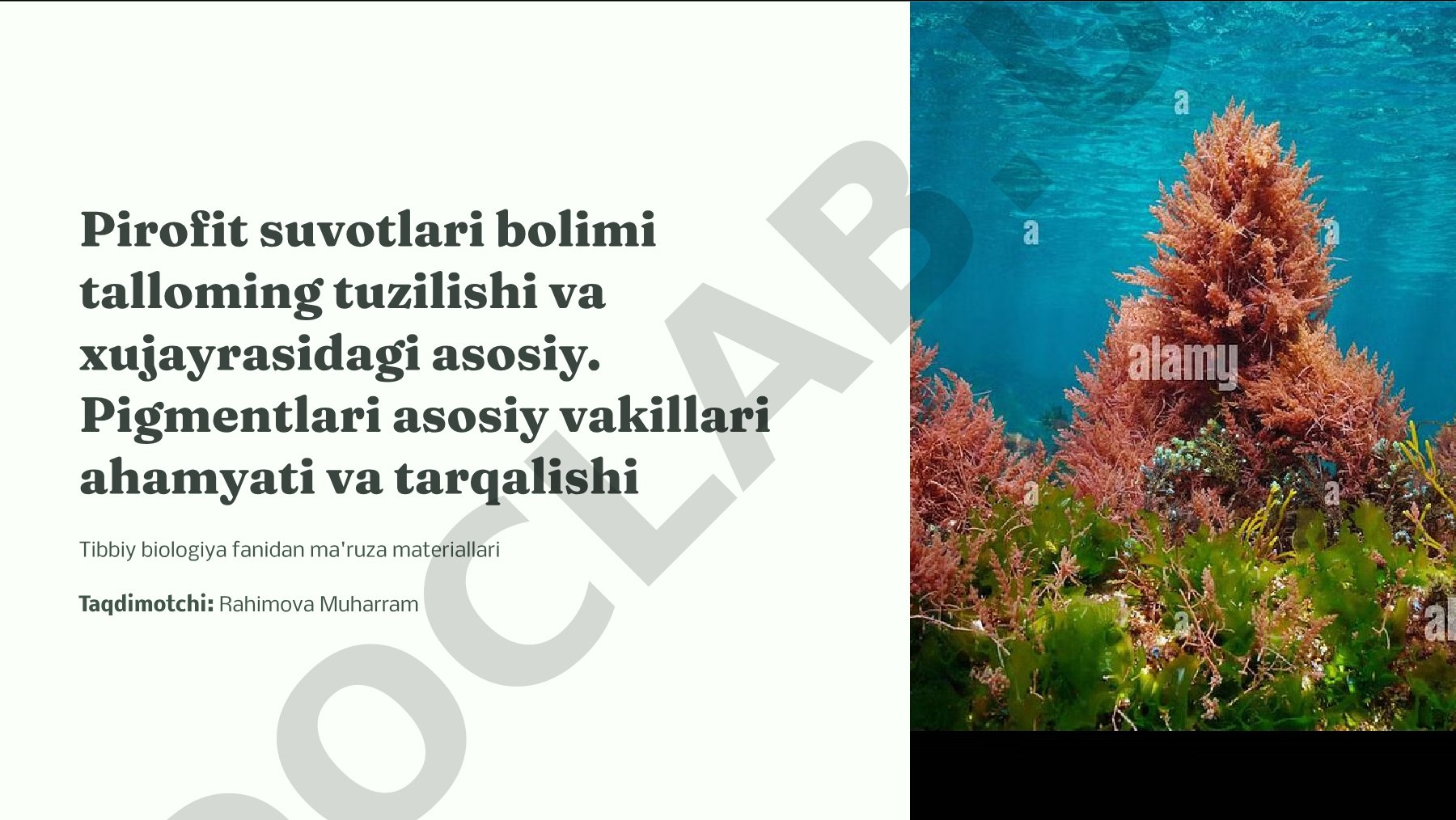 Pirofit suvo'tlarining tuzilishi, hujayra xususiyatlari va tibbiy ahamiyati