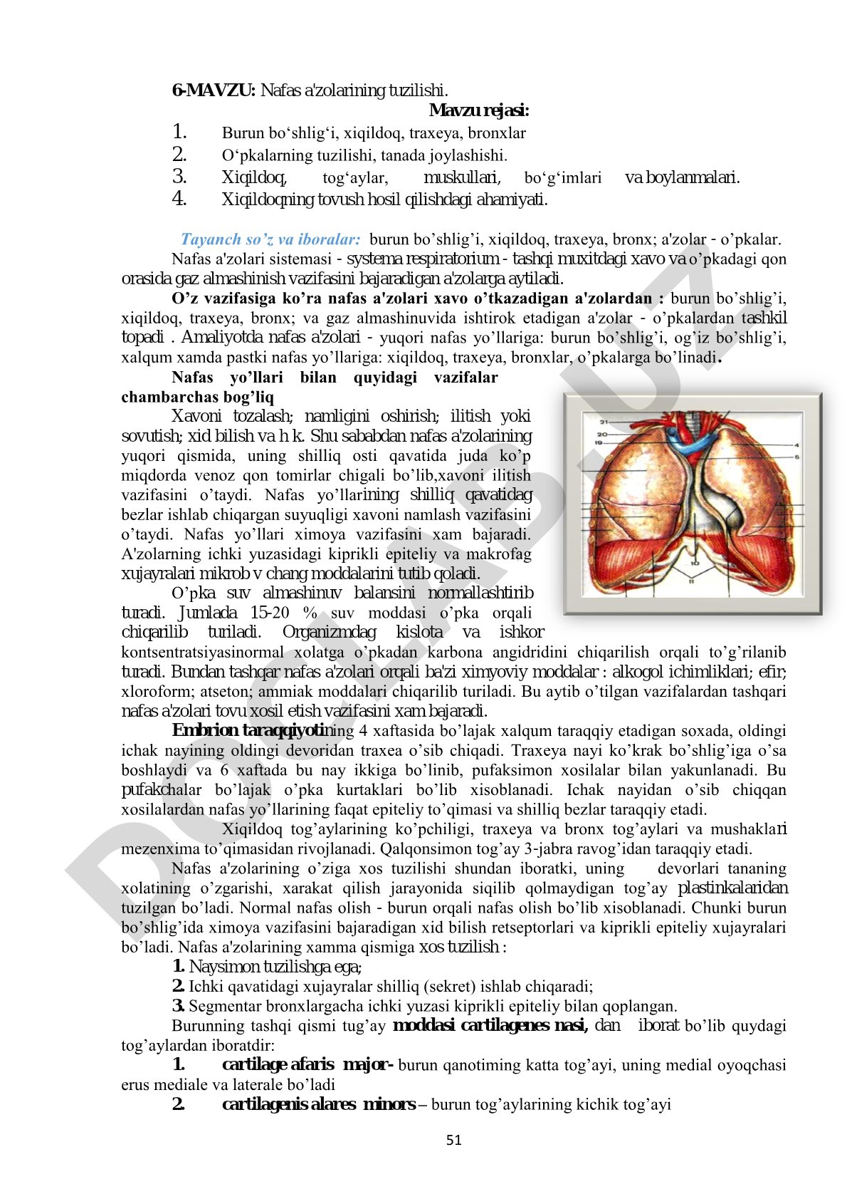 Nafas a'zolarining tuzilishi