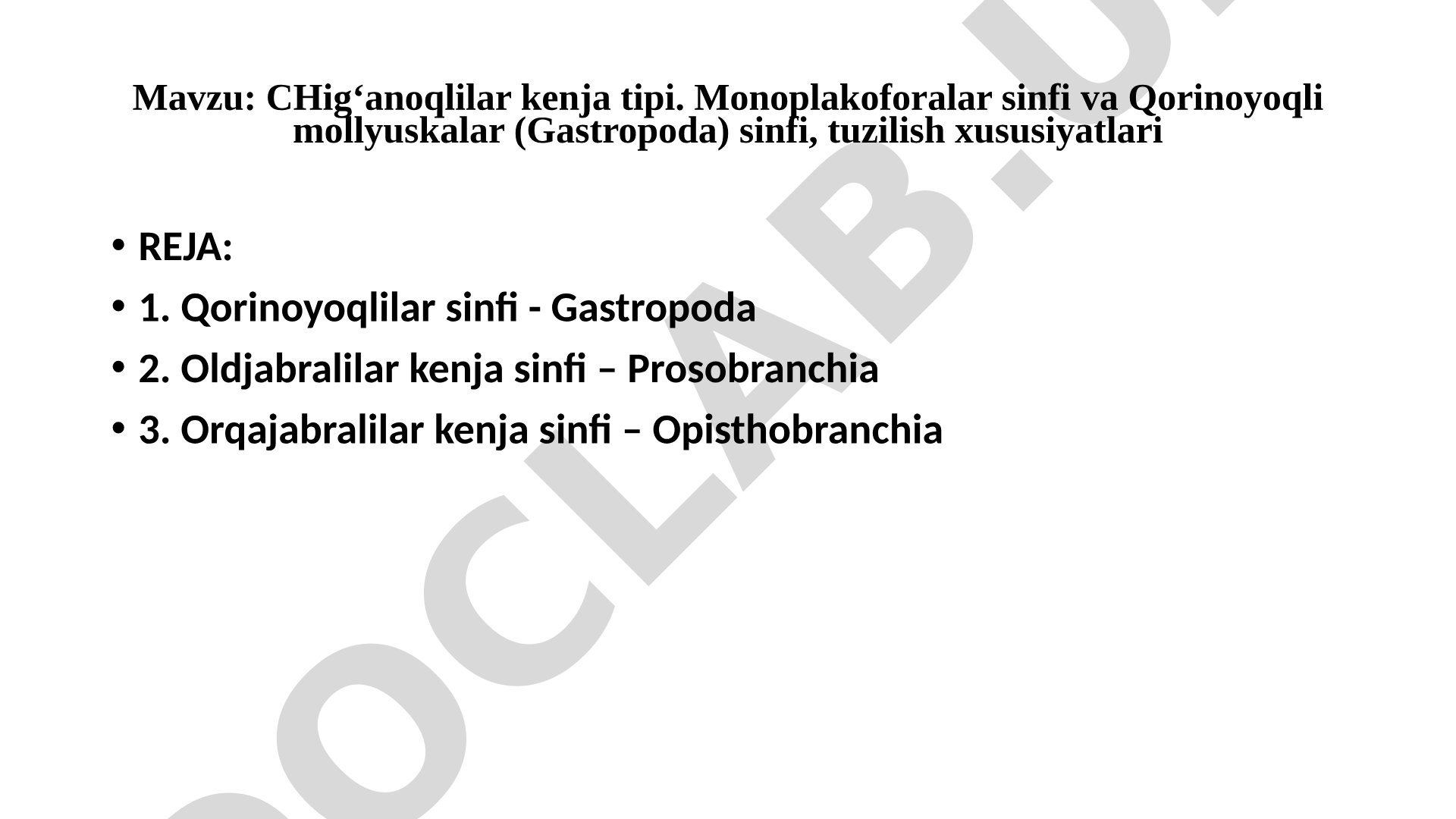 Chig‘anoqlilar kenja tipi. Monoplakoforalar sinfi va Qorinoyoqli mollyuskalar (Gastropoda) sinfi, tuzilish xususiyatlari