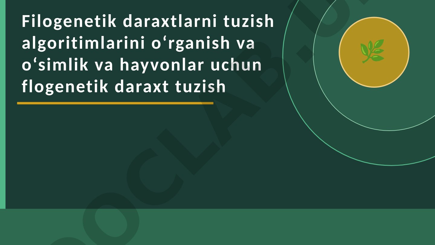 Filogenetik daraxtlarni tuzish algoritimlarini o‘rganish va o‘simlik va hayvonlar uchun flogenetik daraxt tuzish