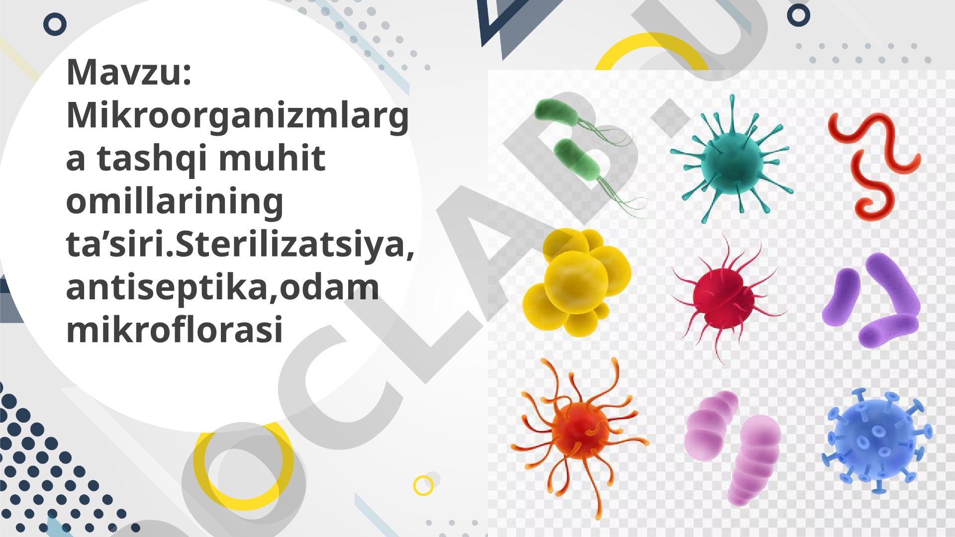 Mikroorganizmlarga tashqi muhit omillarining ta'siri. Sterilizatsiya, antiseptika, odam mikroflorasi