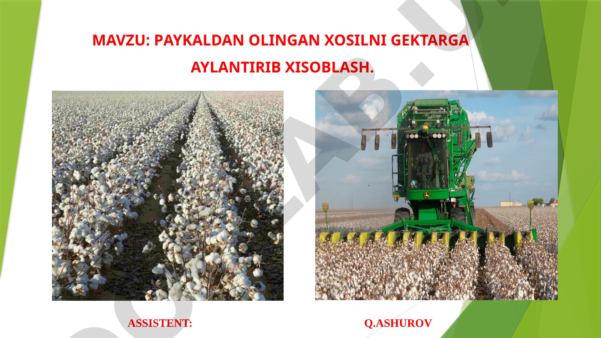 PAYKALDAN OLINGAN XOSILNI GEKTARGA AYLANTIRIB XISOBLASH