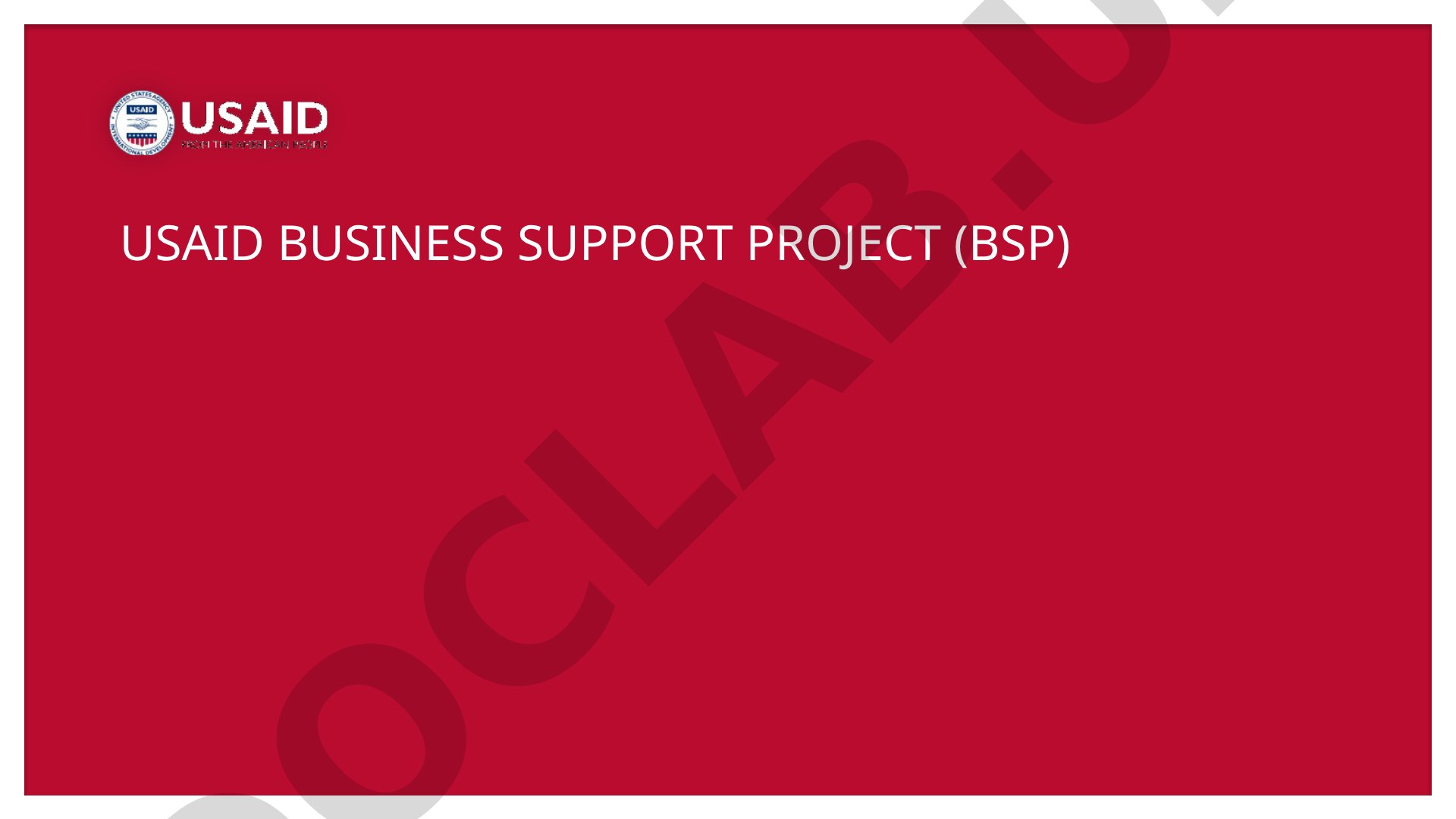 USAID Business Support Project (BSP)