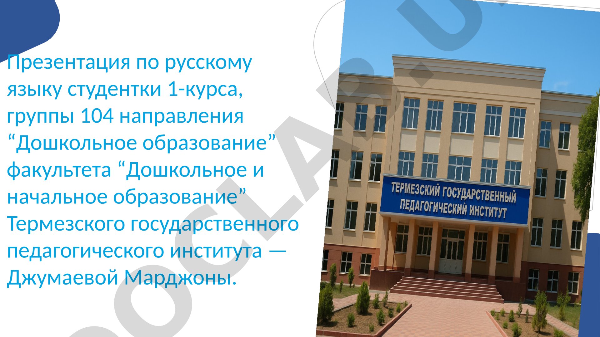 Термезский государственный педагогический институт