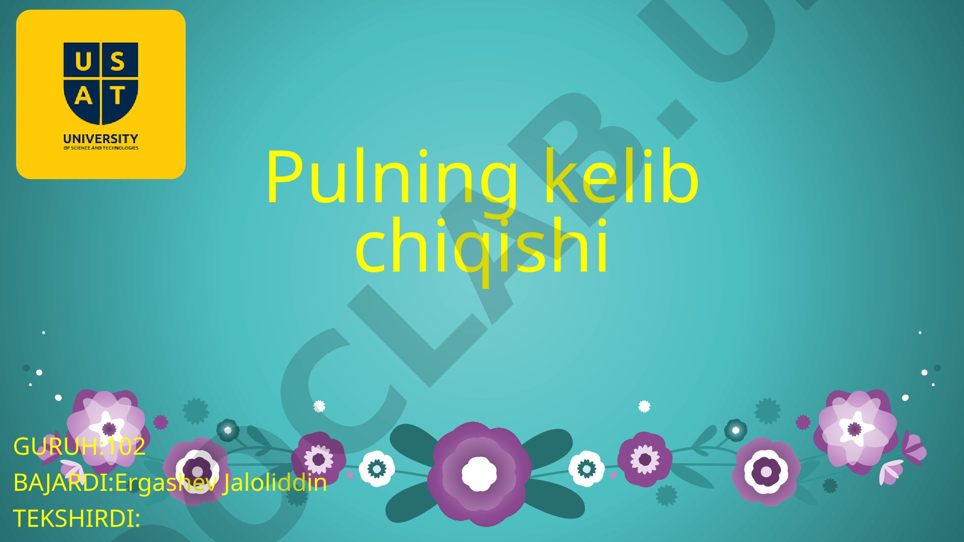 Pulning kelib chiqishi