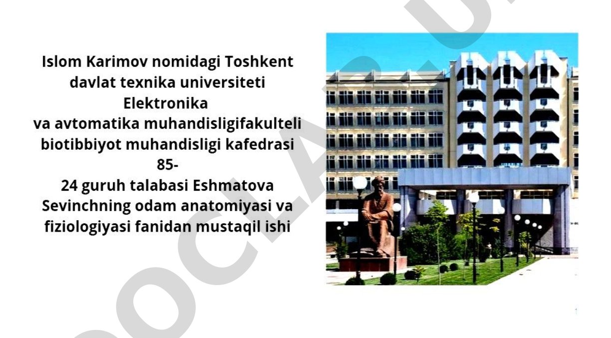 Odam anatomiyasi va fiziologiyasi