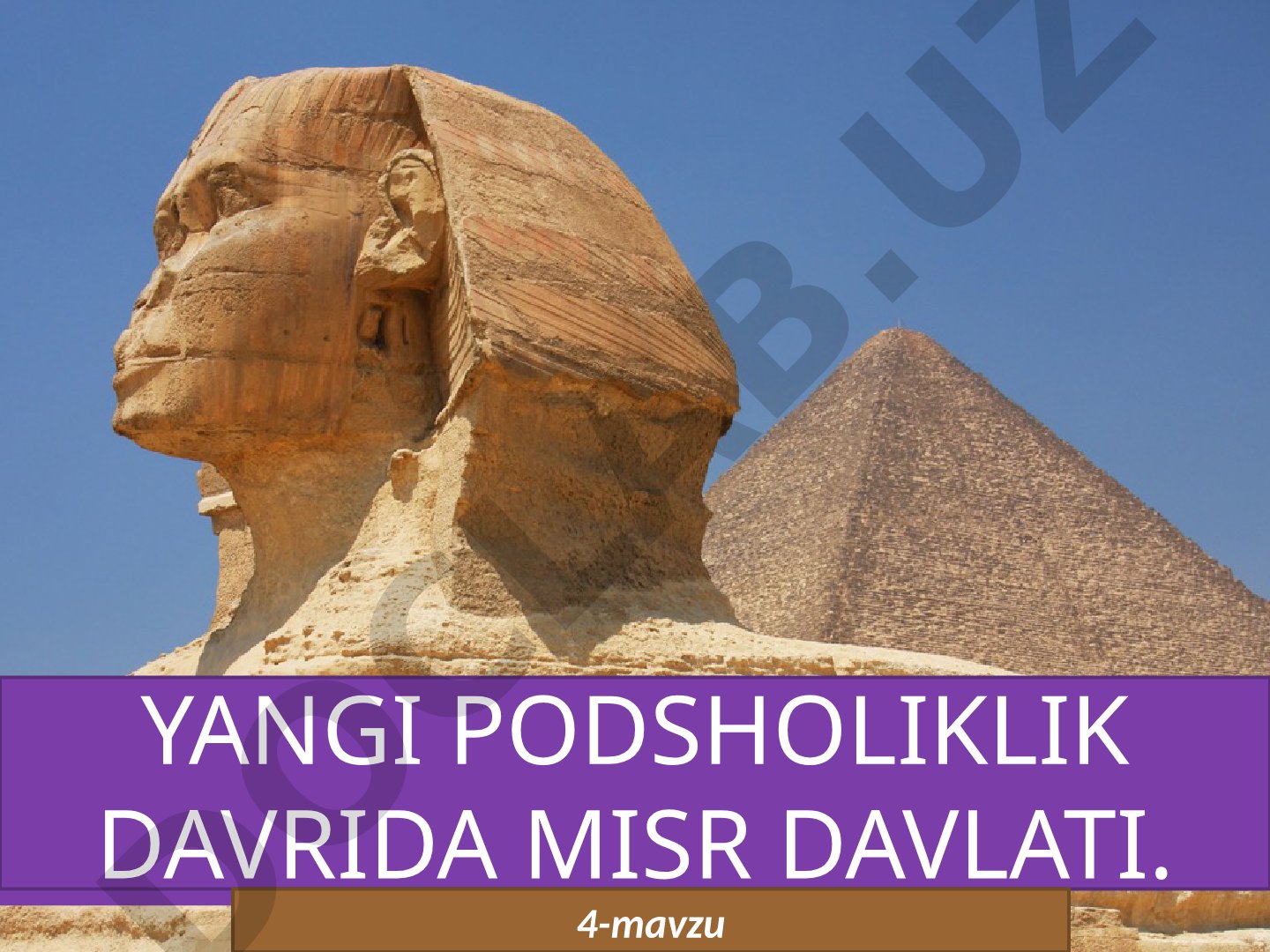 Yangi podsholik davrida Misr davlati