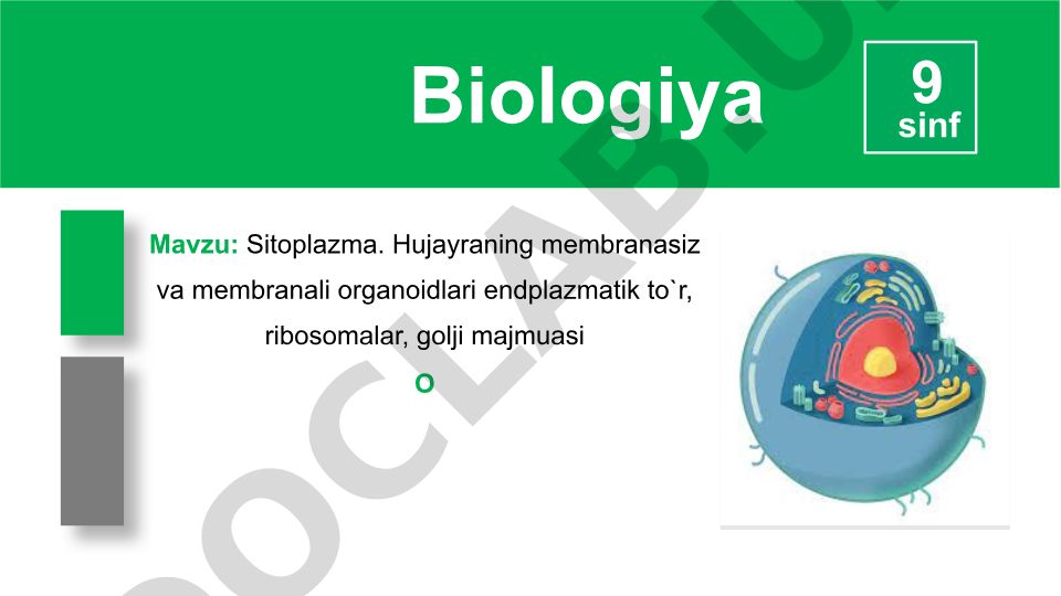 Sitoplazma va hujayraning membranali va membranasiz organoidlari