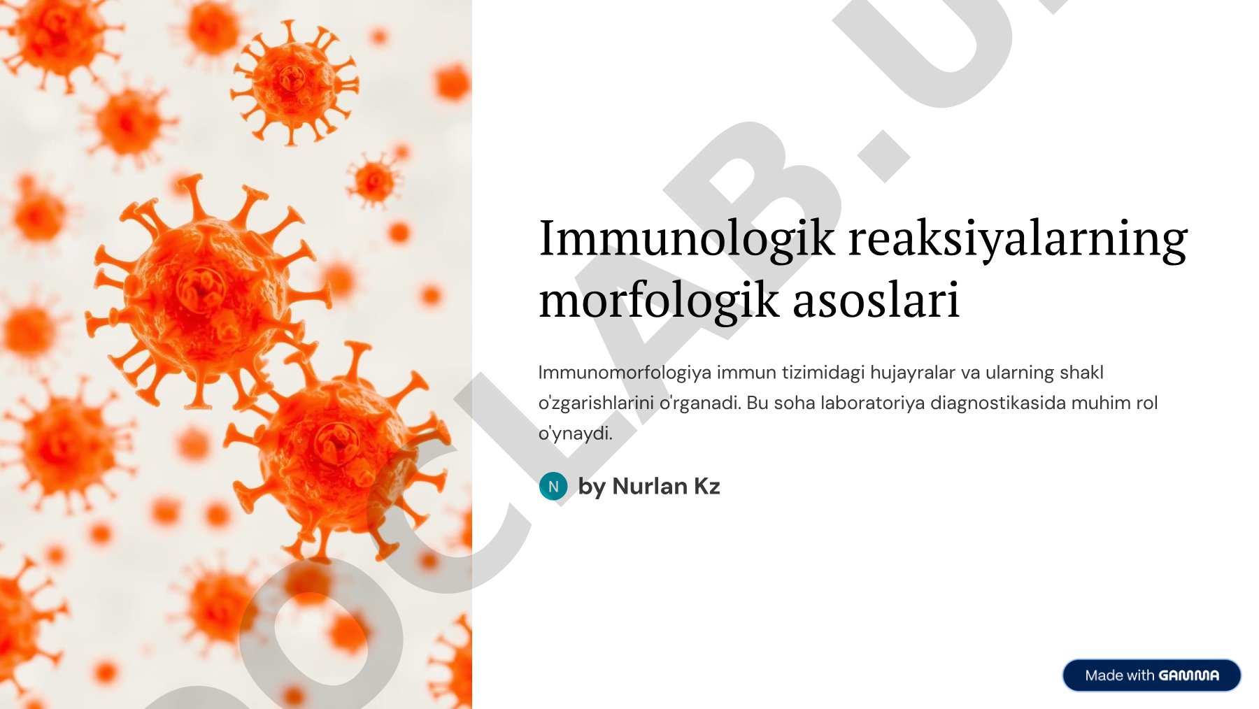 Immunologik reaksiyalarning morfologik asoslari