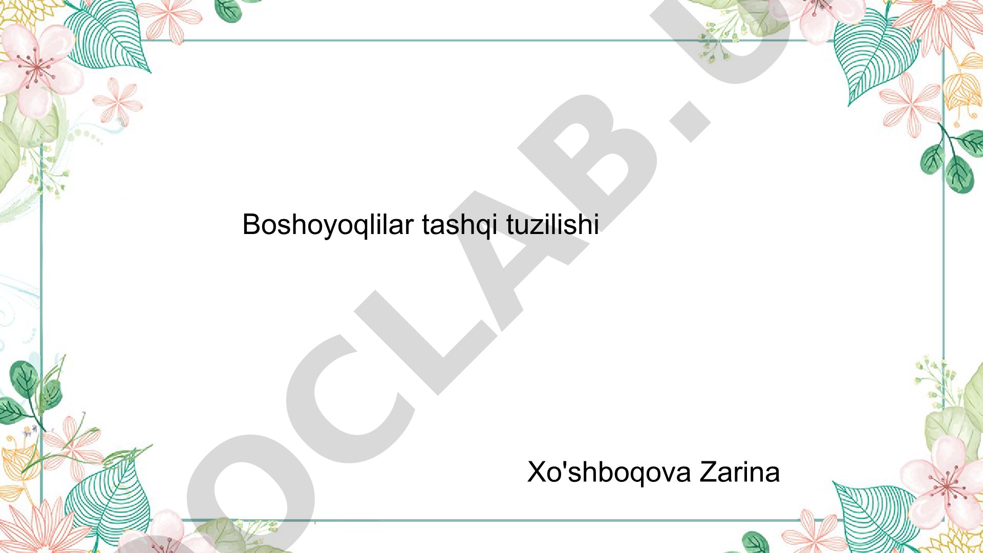 Boshoyoqli mollyuskalar tashqi tuzilishi