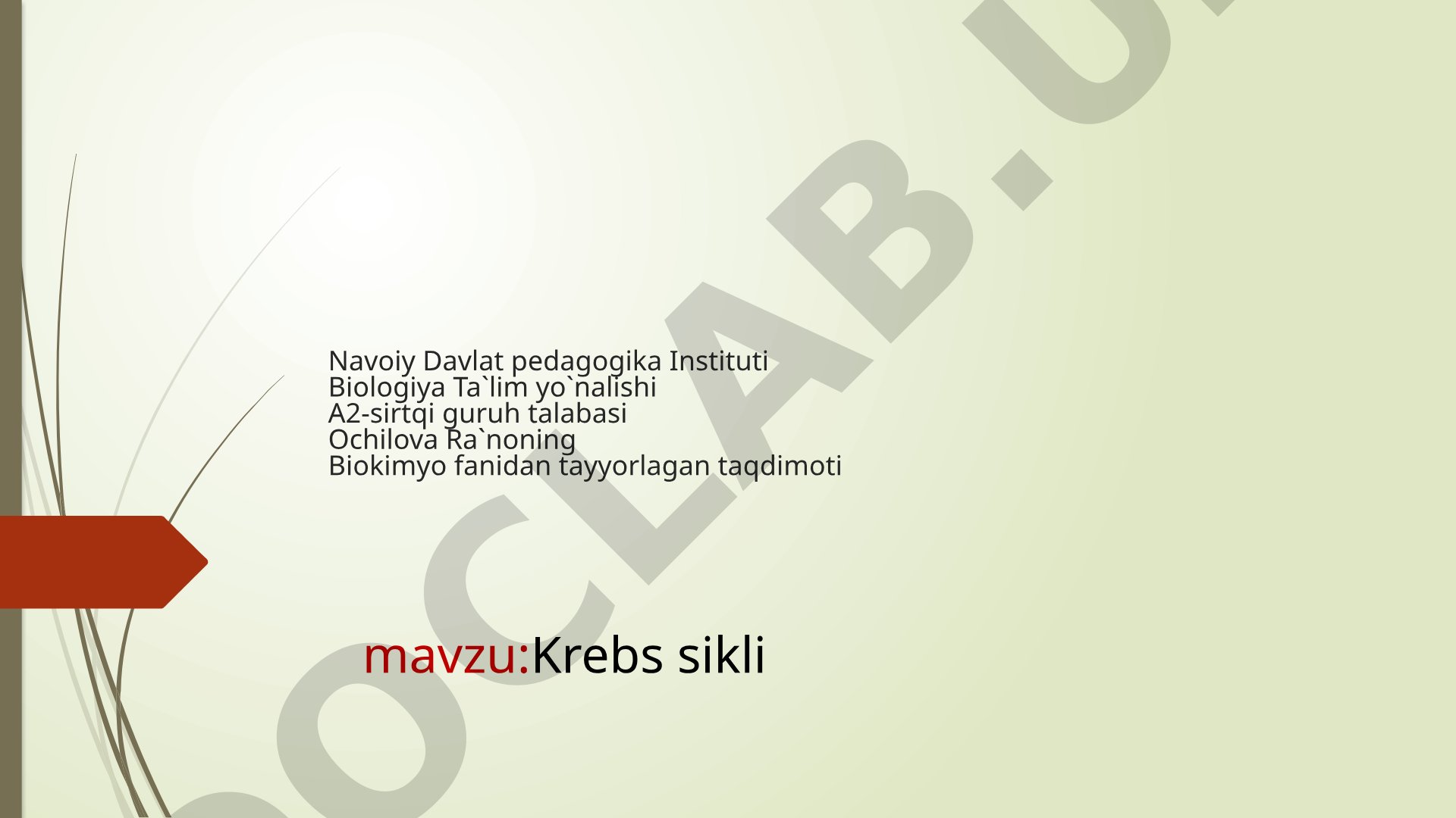 Krebs sikli