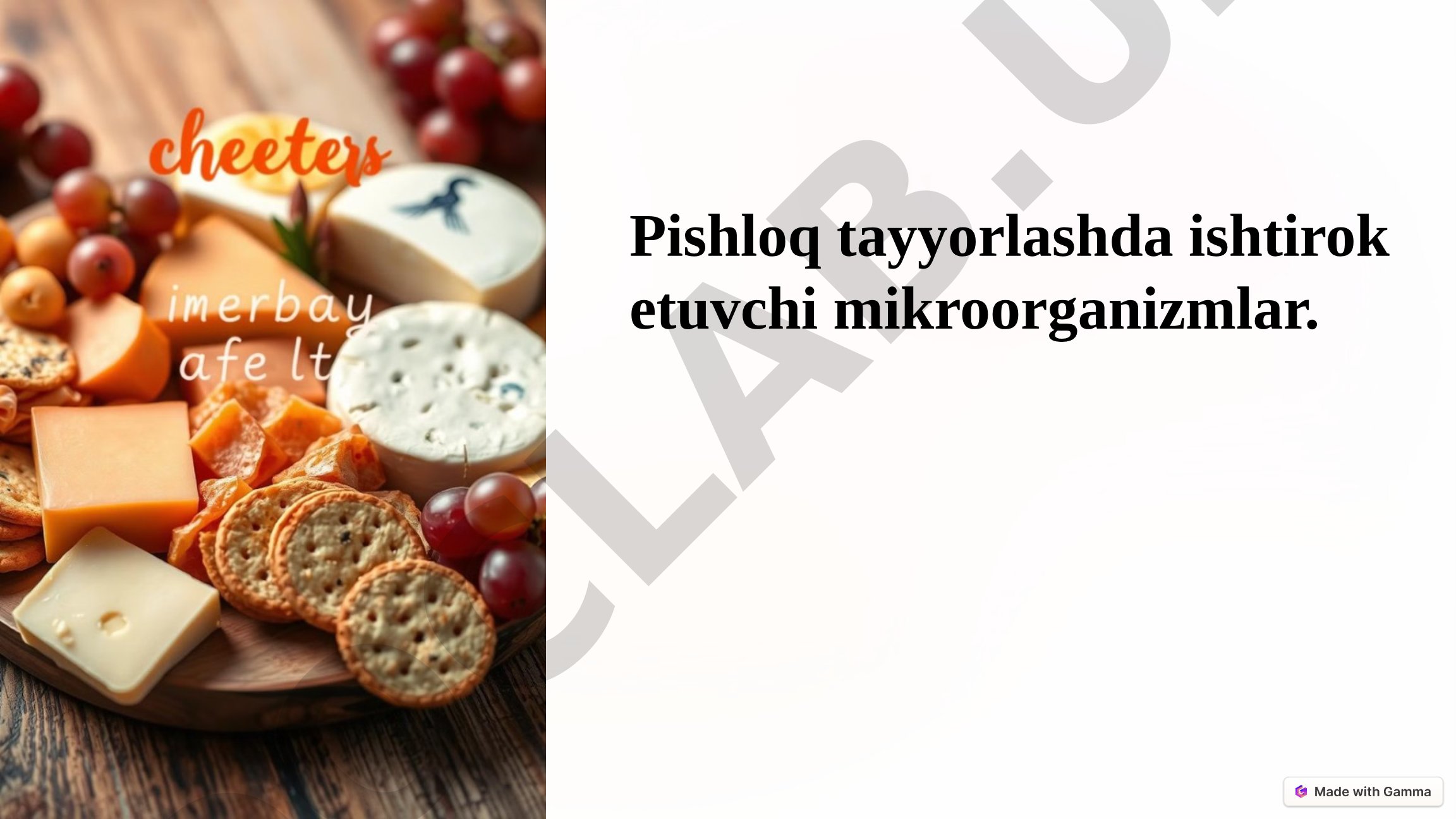 Pishloq tayyorlashda ishtirok etuvchi mikroorganizmlar