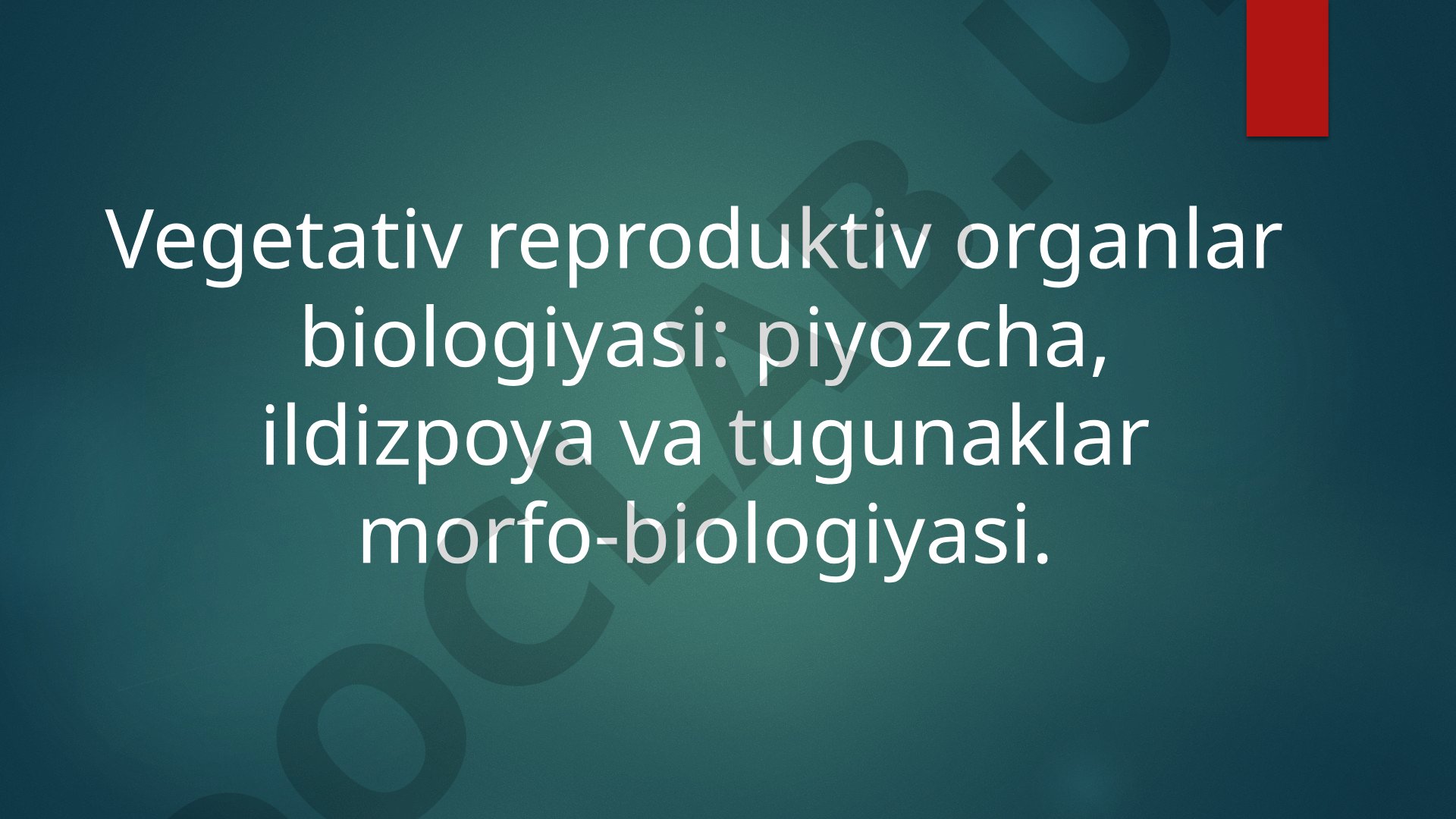 Vegetativ reproduktiv organlar biologiyasi: piyozcha, ildizpoya va tugunaklar morfo-biologiyasi