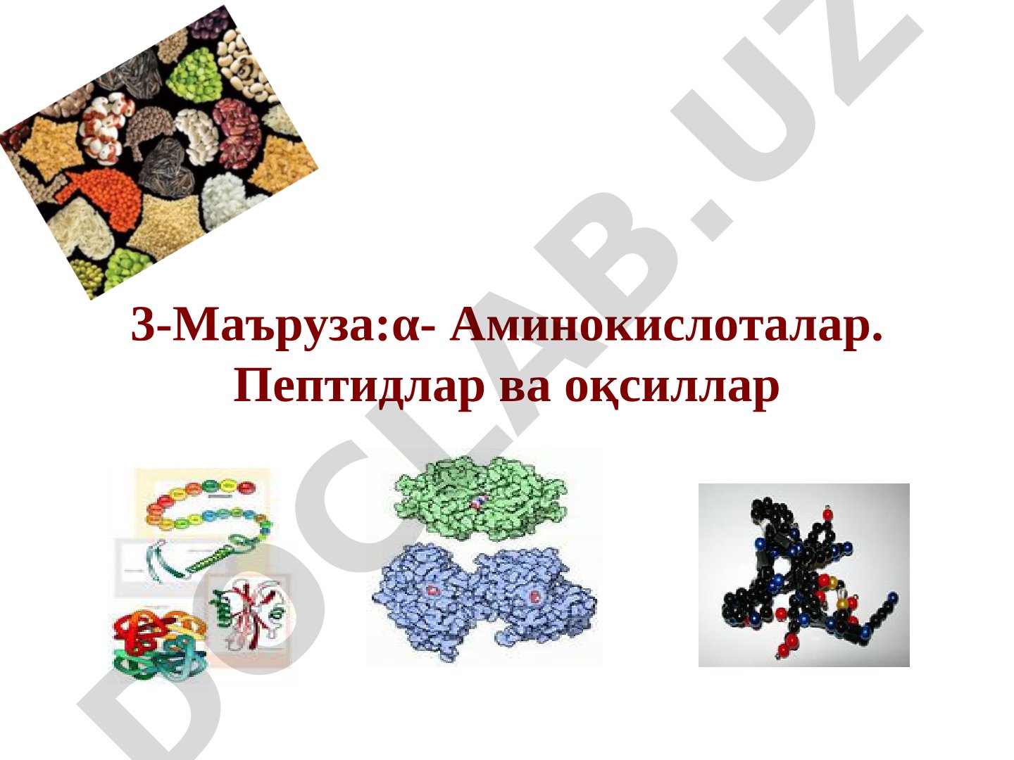 Альфа-аминокислоталар. Пептидлар ва оқсиллар