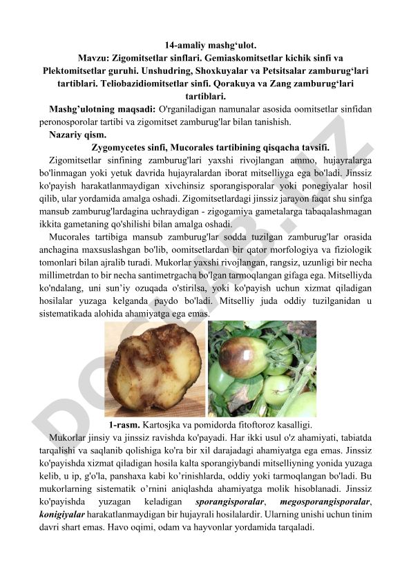 Zigomitsetlar sinflari va zamburug'lar tartiblari