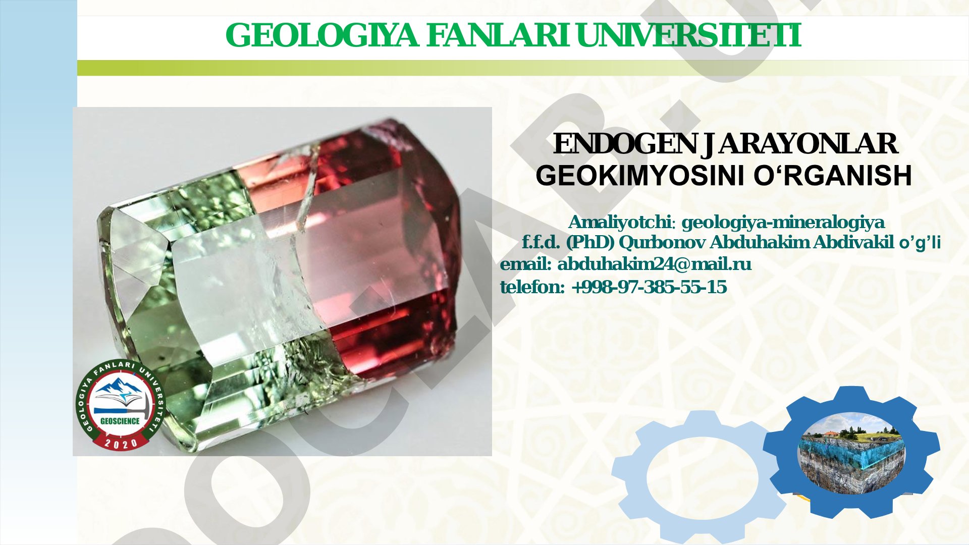 Endogen jarayonlar geokimyosini o‘rganish
