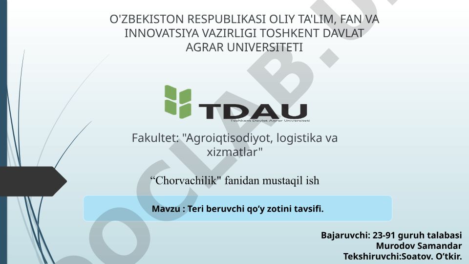 Teri beruvchi qo'y zotini tavsifi