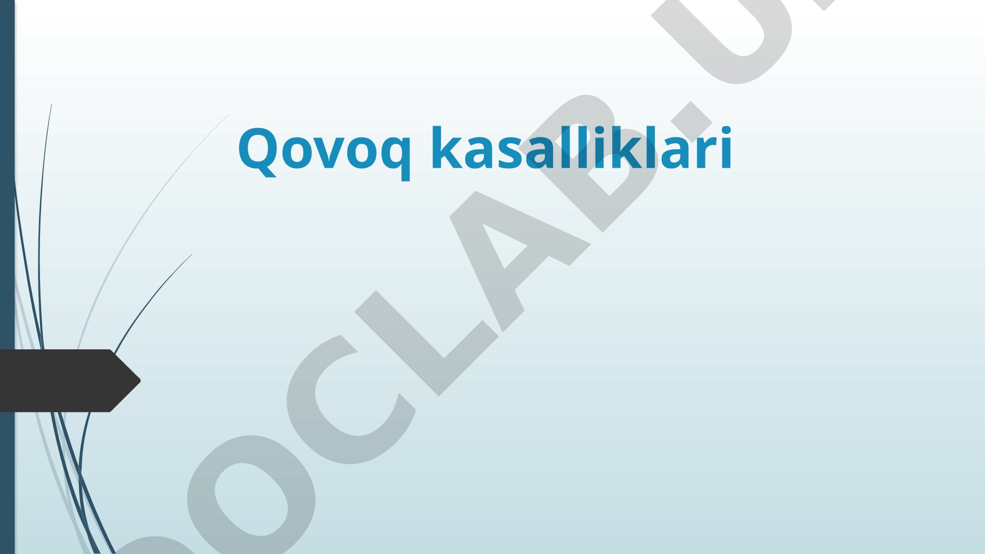 Qovoq kasalliklari