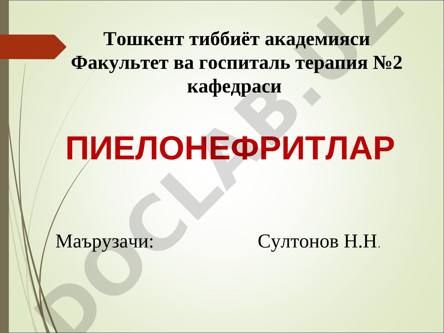 Пиелонефрит касаллиги