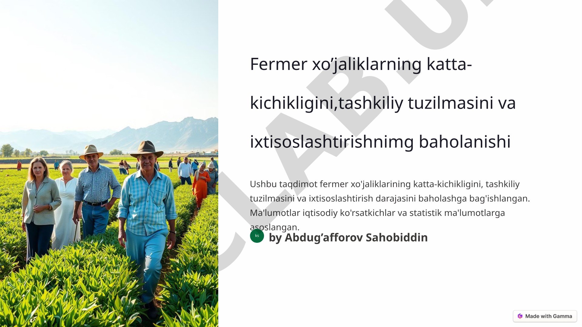 Fermer xo’jaliklarning katta-kichikligini,tashkiliy tuzilmasini va ixtisoslashtirishnimg baholanishi
