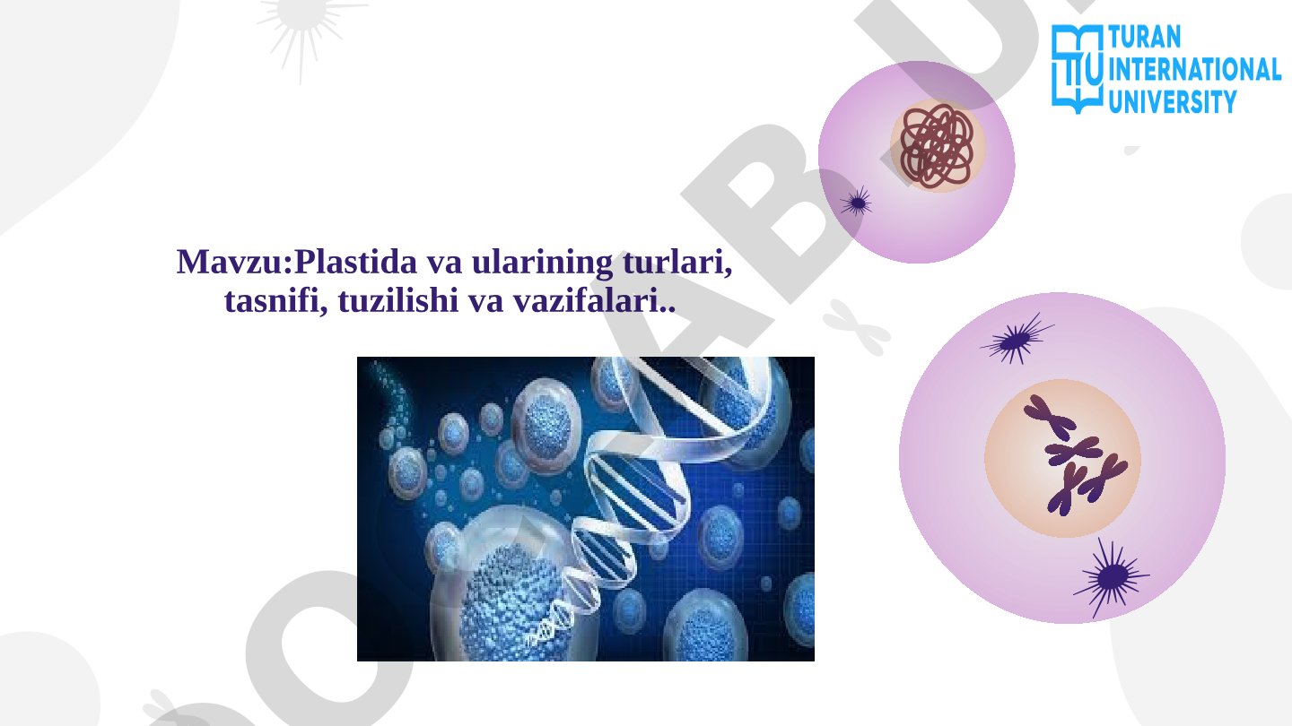 Plastida va ularining turlari, tasnifi, tuzilishi va vazifalari