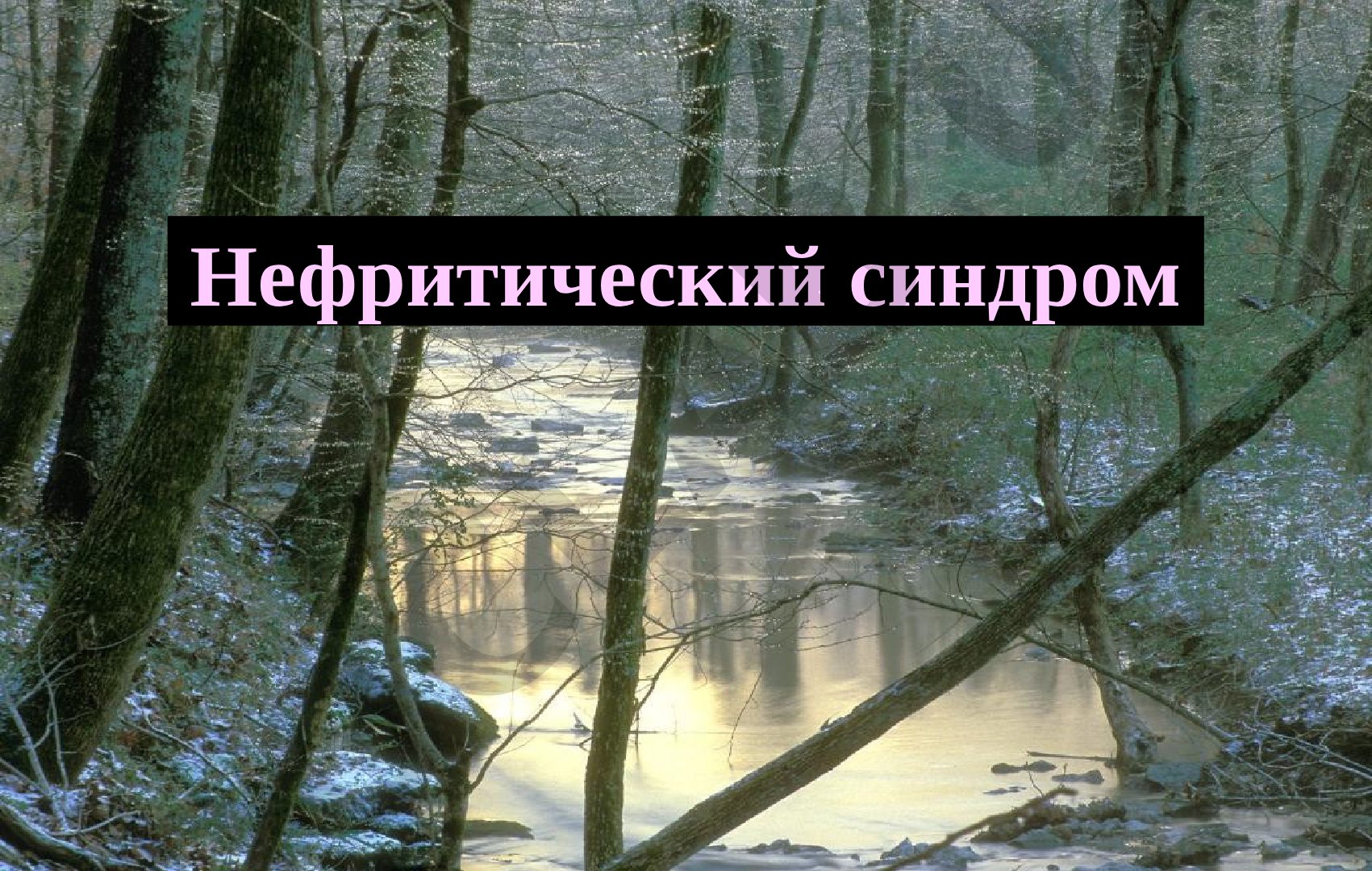 Nefritik sindrom
