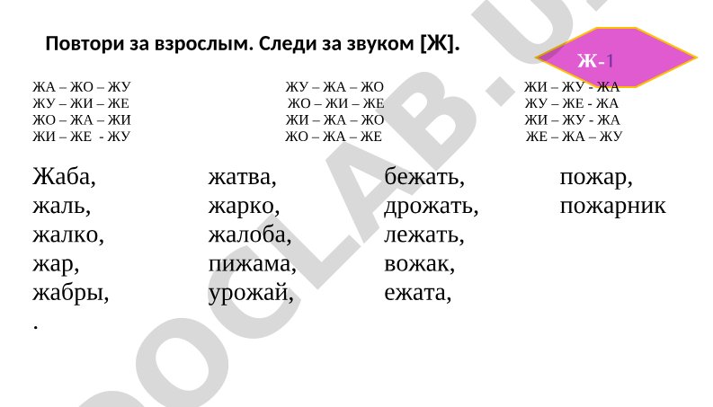 Слоги и слова с буквой Ж